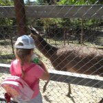 phoca_thumb_m_vp- 1.den  41 Fotogalerie